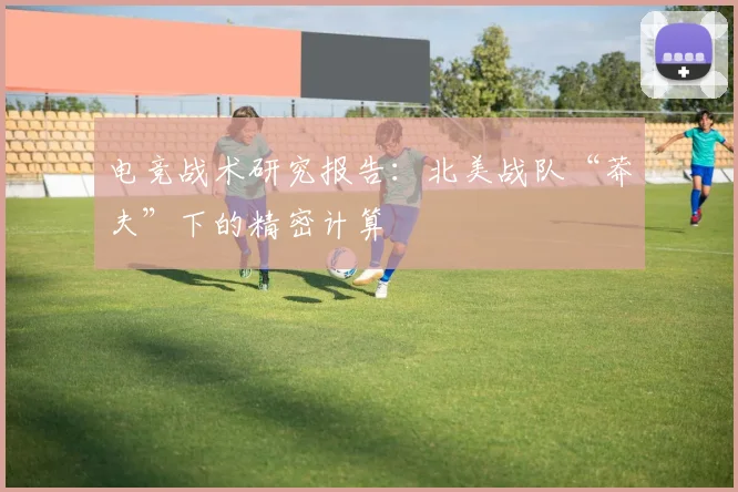 电竞战术研究报告：北美战队“莽夫”下的精密计算